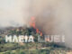 Ηλεία: Μεγάλη φωτιά ΤΩΡΑ στην Κλινδιά