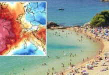 Ο καύσωνας της χιλιετίας θα πλήξει την Ευρώπη – Τα ψάρια βράζουν και πεθαίνουν από ασφυξία στην Γερμανία