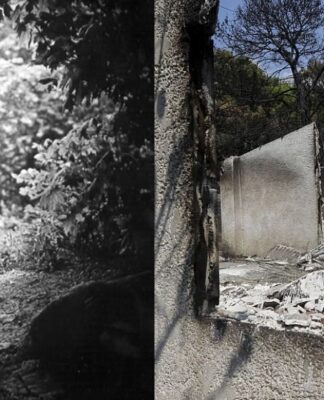 Σοκάρει μαρτυρία από το Μάτι: «Η γιαγιά τους κάηκε ζωντανή. Τα παιδιά τριγυρνούσαν μόνα τους»