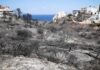 «Κάηκε το εσωτερικό του λαιμού της και οι βλεννογόνοι αδένες»