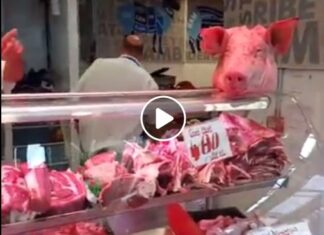 Κρεοπώλης “επιτέθηκε” σε vegan ακτιβιστές με χοιρομέρια και μπριζόλες. – video