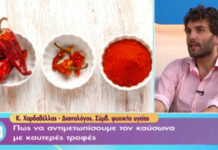 Ο γιος του Κώστα Χαρδαβέλλα κάνει τα πρώτα του τηλεοπτικά βήματα!
