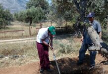 Ένας λαχανόκηπος στην Παιανία που… θεραπεύει