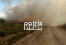 Πύργος: Μεγάλη φωτιά στη Σπιάτζα απειλεί σπίτια – Η μάχη των πυροσβεστών υπό αντίξοες συνθήκες.