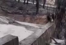 Αγωνία στο Μάτι – Μετά τη φονική φωτιά οι κάτοικοι τρέμουν τα φουσκωμένα ρέματα – video