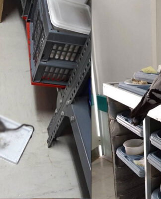 Ελληνικά νοσοκομεία: Ποντίκια στο νοσοκομείο Μυτιλήνης και περιστέρια στον Ερυθρό Σταυρό