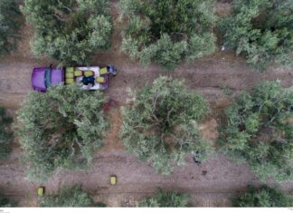Χανιά: Τραγικός θάνατος αγρότη μέσα στο χωράφι του