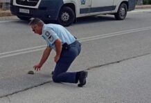Καστοριά: Η εικόνα που έκανε αστυνομικό να σκύψει στη μέση του δρόμου – Οι φωτογραφίες που σαρώνουν το διαδίκτυο