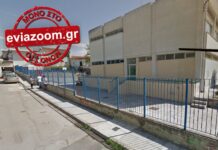 Χαλκίδα: Πυροβόλησε σκύλους έξω από σχολείο.