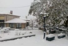 Όλα λευκά. Εγκλωβίστηκαν 30 άνθρωποι σε καταφύγιο στην Κοζάνη – Πού χρειάζονται αλυσίδες