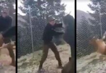 Στο στρατοδικείο οι δύο φαντάροι που πέταξαν σκυλίτσα σε γκρεμό στην Κόνιτσα