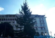Θεσσαλονίκη: Αυτό είναι το χριστουγεννιάτικο δέντρο που στήθηκε στην πλατεία Αριστοτέλους