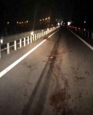 Σαν θρίλερ. Τροχαίο με αγριογούρουνα στην Φθιώτιδα – Προσοχή, σκληρές εικόνες
