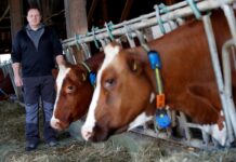 Vegan ακτιβιστές μπούκαραν σε ταβέρνα και έκαναν ήχους αγελάδων μπροστά στα πιάτα με τις μπριζόλες. – Video