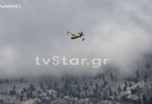 Καίγεται δάσος με έλατα στην Εύβοια – Στάχτη πάνω από 80 στρέμματα