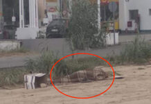 Όχι δεν είναι σε κάποια τριτοκοσμική χώρα είναι άστεγος Έλληνας στην Ελλάδα του 2018