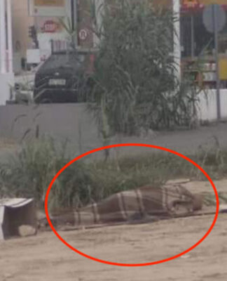 Όχι δεν είναι σε κάποια τριτοκοσμική χώρα είναι άστεγος Έλληνας στην Ελλάδα του 2018