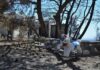 Νία Βαρντάλος και Τζον Στάμος κινητοποιούν το Χόλιγουντ για το καμένο Λύρειο Ορφανοτροφείο