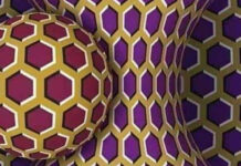 Όταν βλέπεις την εικόνα αυτή ακίνητη είσαι ήρεμος όταν την βλέπεις να κινείται είσαι στρεσαρισμένος