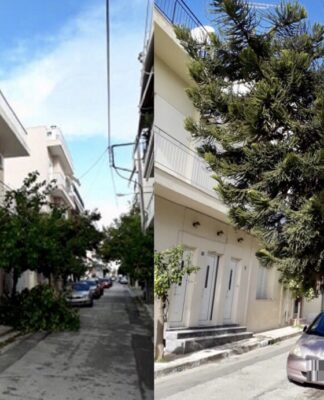 Κίνδυνος θάνατος τα δέντρα στην Παλιά Κοκκινιά – Έπεσε δέντρο (ΦΩΤΟ)