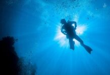 Χαλκιδική: Ανθρώπινο κρανίο στο βυθό της θάλασσας – Οι εικόνες που πάγωσαν τον ψαροντουφεκά.