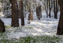 Νέο κύμα κακοκαιρίας την Τετάρτη -Πού θα είναι πιο έντονα τα φαινόμενα