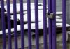 Κλειστά σχολεία αύριο Παρασκευή λόγω κακοκαιρίας και απεργίας