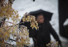 Καιρός: “Παρούσα” και την Παρασκευή η Υπατία με βροχές και καταιγίδες