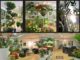 EDEN Flowers & Events στον Πειραιά by Τίνα Κοντάκου!