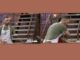 MasterChef: Το ατύχημα του παίκτη και τα… «μπιπ» στην κουζίνα