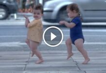 Εάν Είχατε Μια Δύσκολη Μέρα, Δείτε Αυτό Το Φοβερό Βίντεο-Διαφήμιση. Θα Πονέσει Το Στομάχι Σας Από Το Γέλιο!