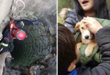 Ασυνείδητος πέταξε κουτάβι σε πηγάδι 20 μέτρων στον Τύρναβο