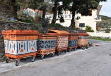 Στην Άνδρο ζωγράφισαν τους κάδους και… άλλαξαν το χωριό τους