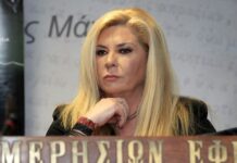 Δήμητρα Λιάνη: 18 μήνες φυλακή για χρέη στο Δημόσιο.