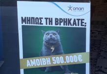 Kυνήγι σε όλη την Ελλάδα για μία γάτα με αμοιβή 500.000 ευρώ