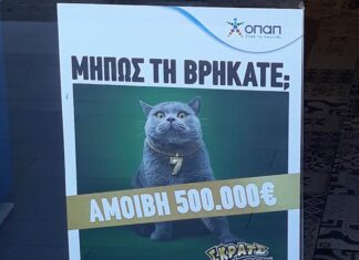 Kυνήγι σε όλη την Ελλάδα για μία γάτα με αμοιβή 500.000 ευρώ