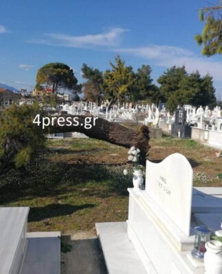 Καιρός – Πάτρα: Δεν φαντάζεστε τι έγινε με δέντρο που ξερίζωσαν οι άνεμοι. video