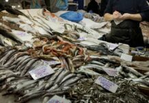 "Φωτιά" το Σαρακοστιανό τραπέζι. Αύξηση σχεδόν 8%.