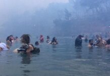 Μάτι, διάλογοι χάους και ντροπής: Τα πυροσβεστικά δεν είναι ταξί, έρχονται κυρία μου, το κέρατό μου