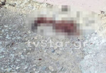 Η βαλλιστική εξέταση "έδειξε" το όπλο που τραυμάτισε την 8χρονη Αλεξία.