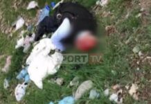 Αλβανία: Εικόνες σοκ του νεκρού Αντριάν Μουρατάι από την ληστεία – μαμούθ.