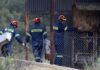 Κύπρος: Φρίκη προκαλούν οι πέντε ομοιότητες στις δύο δολοφονίες του «Ορέστη»