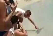 Βίντεο: Λαγοκέφαλος επιτίθεται σε λουόμενο στην Κάρπαθο