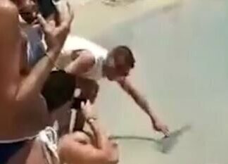 Βίντεο: Λαγοκέφαλος επιτίθεται σε λουόμενο στην Κάρπαθο