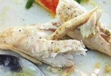 Κρήτη: Μαγείρεψαν και έφαγαν λαγοκέφαλους – Το επικίνδυνο γεύμα και τα παραλειπόμενα στην Αγία Γαλήνη