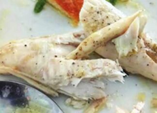 Κρήτη: Μαγείρεψαν και έφαγαν λαγοκέφαλους – Το επικίνδυνο γεύμα και τα παραλειπόμενα στην Αγία Γαλήνη