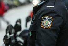 Επίθεση από σφήκες δέχθηκε αστυνομικός στην Κρήτη