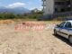 Θρίλερ στην Πάτρα: Εκτέλεσε άλογο και απειλούσε να αυτοκτονήσει