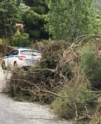 Θεσσαλονίκη: Εδώ βρέθηκε το ακέφαλο πτώμα – Οι πρώτες εκτιμήσεις των αρχών