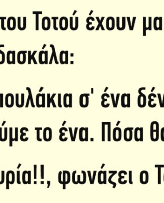 Στην τάξη του Τοτού έχουν μαθηματικά…